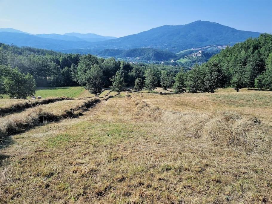 Oasi Di Pace Nella Val Di Taro Daire Compiano Dış mekan fotoğraf