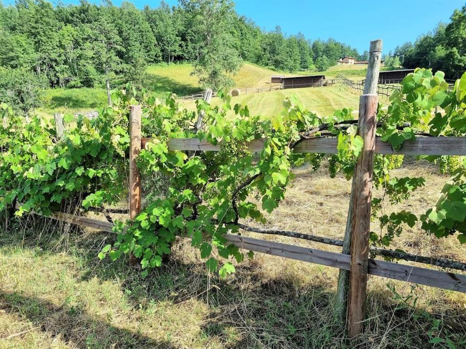 Oasi Di Pace Nella Val Di Taro Daire Compiano Dış mekan fotoğraf