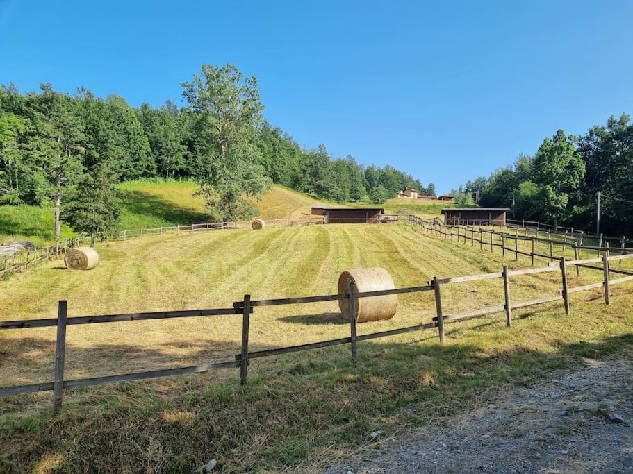Oasi Di Pace Nella Val Di Taro Daire Compiano Dış mekan fotoğraf