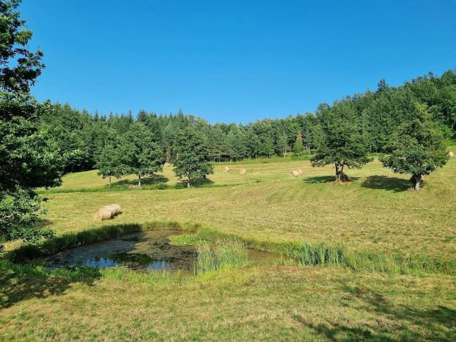 Oasi Di Pace Nella Val Di Taro Daire Compiano Dış mekan fotoğraf