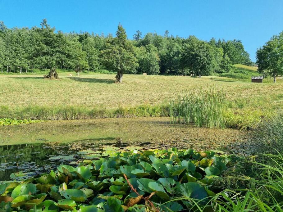 Oasi Di Pace Nella Val Di Taro Daire Compiano Dış mekan fotoğraf