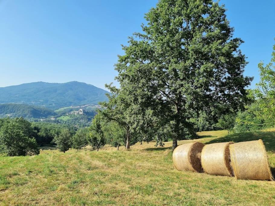 Oasi Di Pace Nella Val Di Taro Daire Compiano Dış mekan fotoğraf