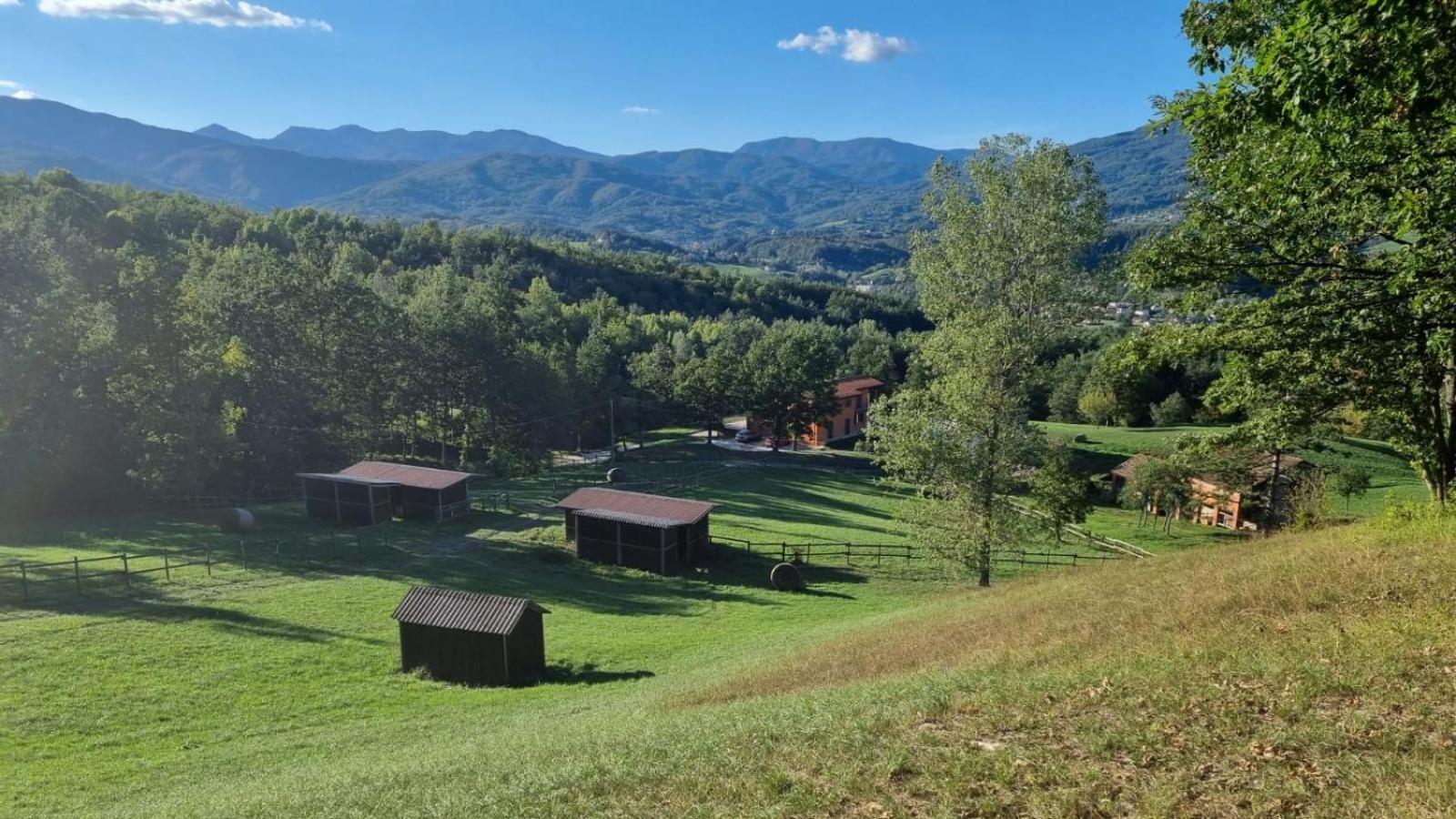 Oasi Di Pace Nella Val Di Taro Daire Compiano Dış mekan fotoğraf